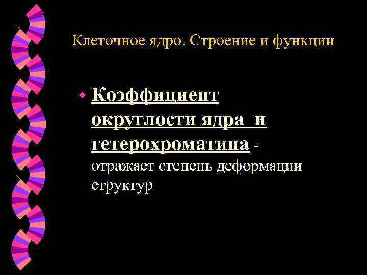 Клеточное ядро. Строение и функции w Коэффициент округлости ядра и гетерохроматина отражает степень деформации