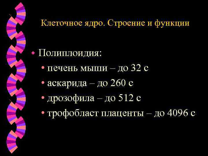 Клеточное ядро. Строение и функции w Полиплоидия: • печень мыши – до 32 с