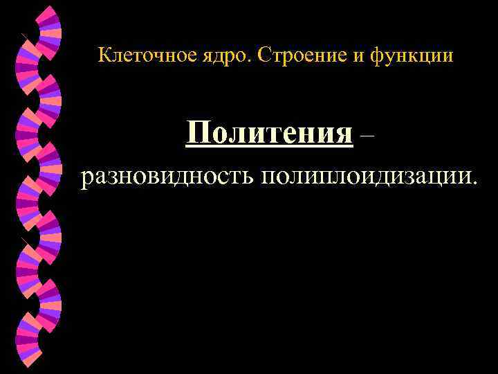 Клеточное ядро. Строение и функции Политения – разновидность полиплоидизации. 
