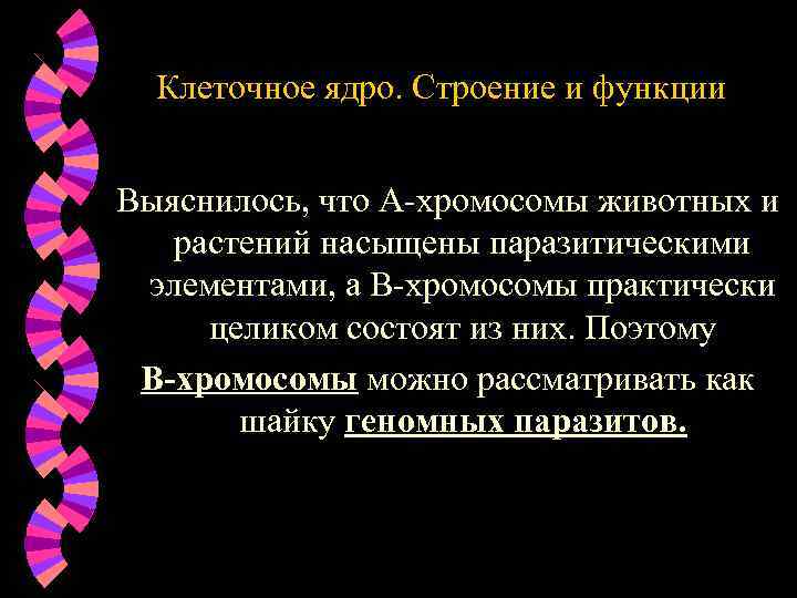 Клеточное ядро. Строение и функции Выяснилось, что А-хромосомы животных и растений насыщены паразитическими элементами,