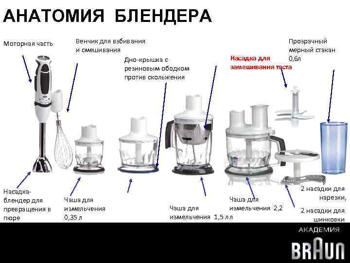 АНАТОМИЯ БЛЕНДЕРА Моторная часть Насадкаблендер для превращения в пюре Венчик для взбивания Прозрачный Вставка