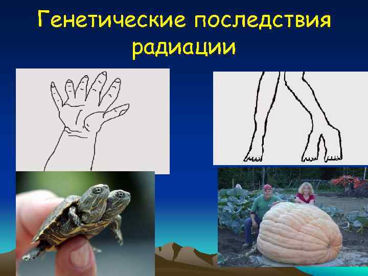 Генетические последствия радиации 