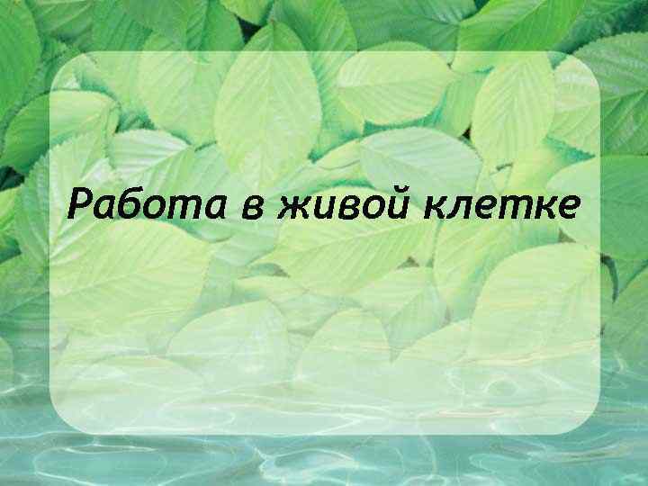 Работа в живой клетке 