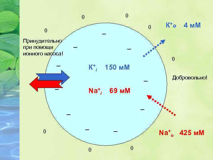 0 0 4 м. М ─ Принудительно при помощи ионного насоса! ─ ─ 0