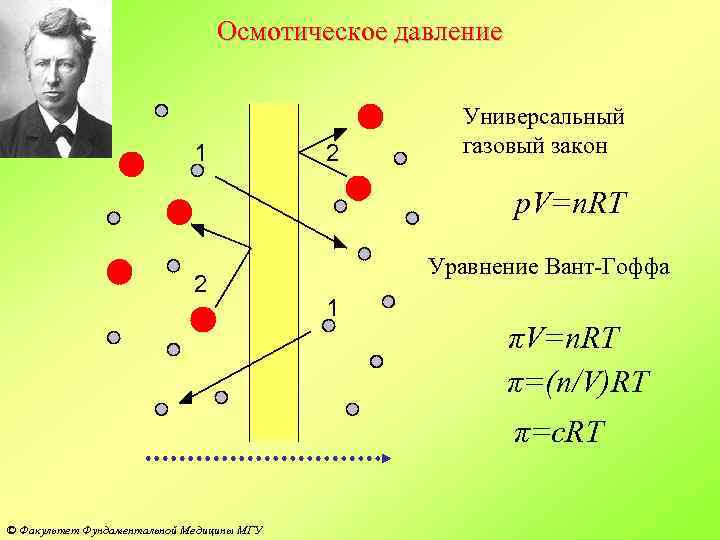 Закону p