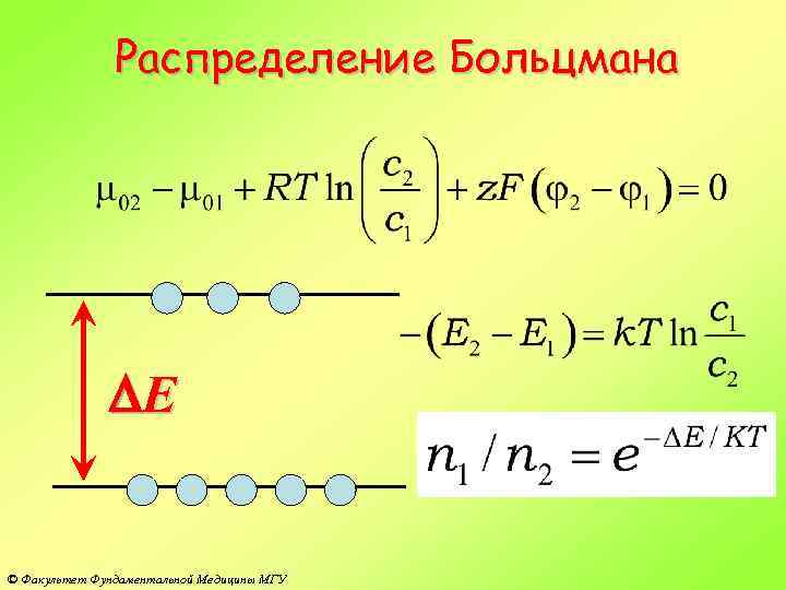 Распределение Больцмана DE © Факультет Фундаментальной Медицины МГУ 