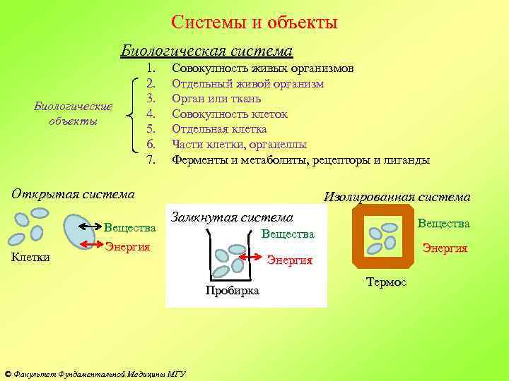 Системы и объекты Биологическая система Биологические объекты 1. 2. 3. 4. 5. 6. 7.