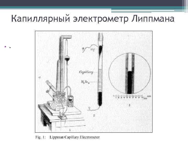 Капиллярный электрометр Липпмана • . 