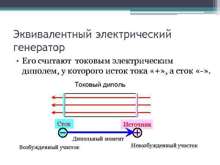 Эквивалентный электрический генератор • Его считают токовым электрическим диполем, у которого исток тока «+»