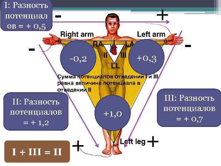 I: Разность потенциал ов = + 0, 5 + - - +0, 3 -0,