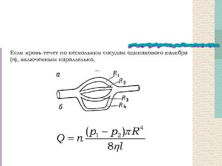 Если кровь течет по нескольким сосудам одинакового калибра (n), включенным параллельно, 