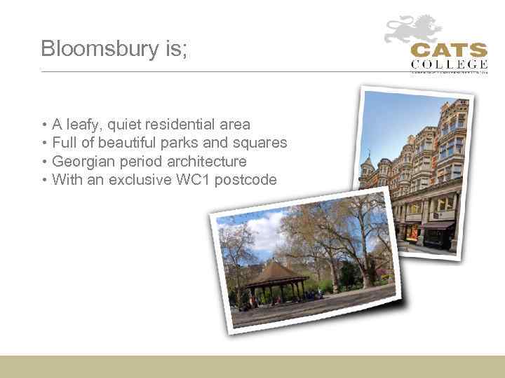 Bloomsbury is; • A leafy, quiet residential area • Full of beautiful parks and