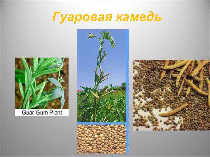 Гуаровая камедь 