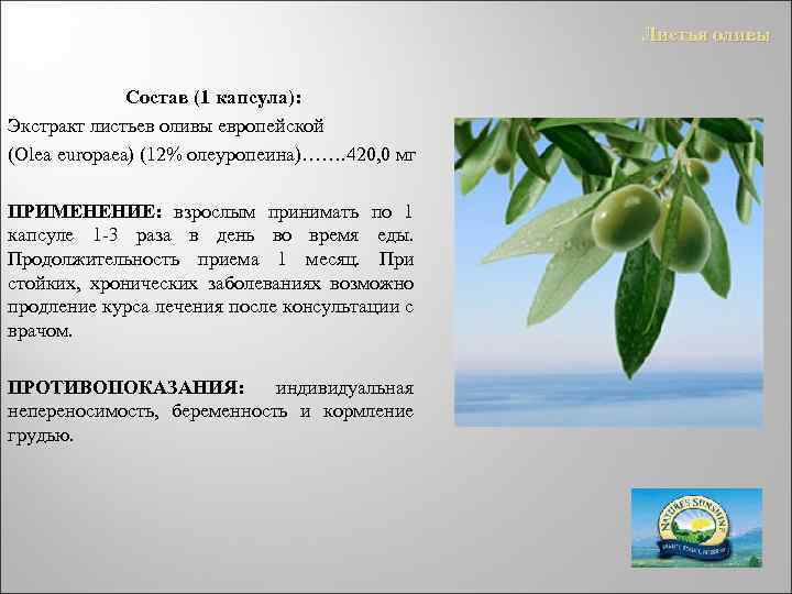 Листья оливы Состав (1 капсула): Экстракт листьев оливы европейской (Olea europaea) (12% олеуропеина)……. 420,