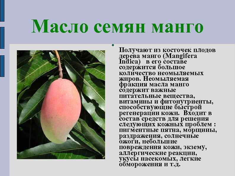 Масло семян манго Получают из косточек плодов дерева манго (Mangifera Indica) в его составе