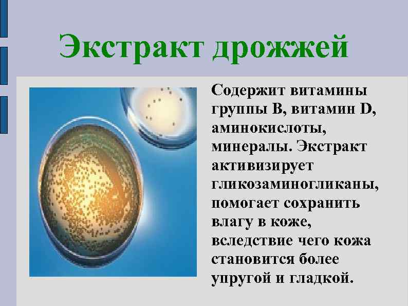 Экстракт дрожжей Содержит витамины группы В, витамин D, аминокислоты, минералы. Экстракт активизирует гликозаминогликаны, помогает