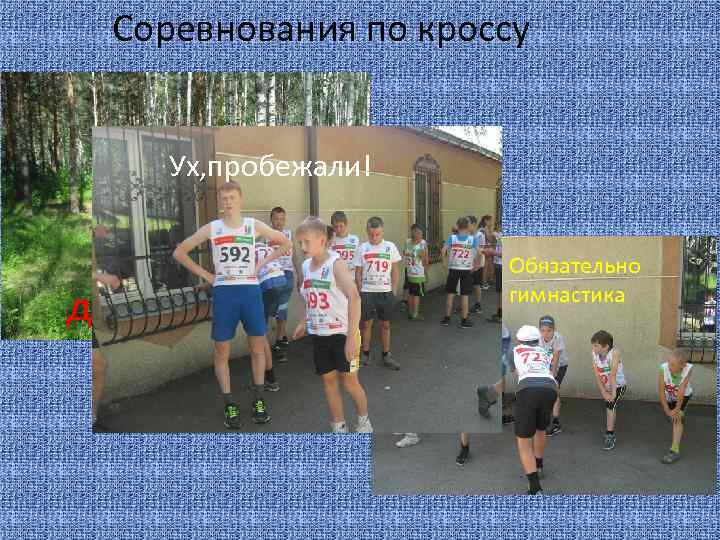 Соревнования по кроссу Ух, пробежали! Ха, не догонишь! Обязательно гимнастика 