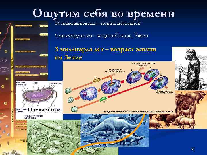 Ощутим себя во времени 14 миллиардов лет – возраст Вселенной 5 миллиардов лет –