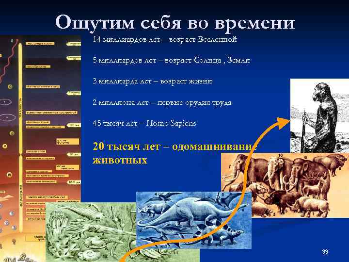 Ощутим себя во времени 14 миллиардов лет – возраст Вселенной 5 миллиардов лет –