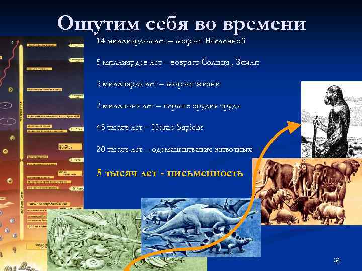 Ощутим себя во времени 14 миллиардов лет – возраст Вселенной 5 миллиардов лет –
