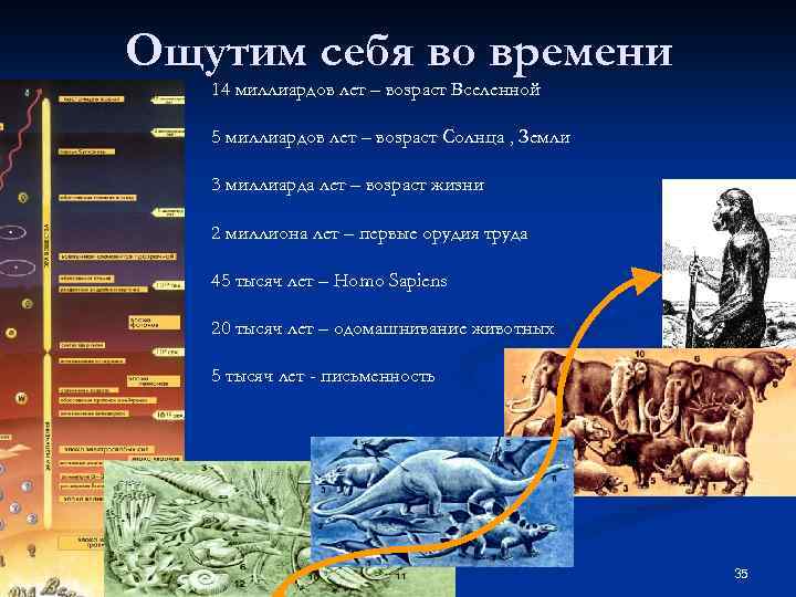 Ощутим себя во времени 14 миллиардов лет – возраст Вселенной 5 миллиардов лет –