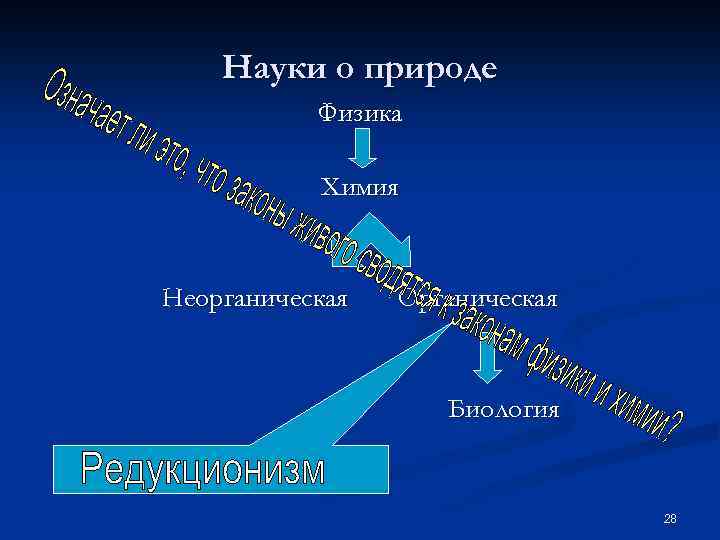 Науки о природе Физика Химия Неорганическая Органическая Биология 28 