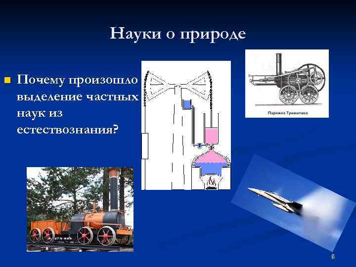 Науки о природе n Почему произошло выделение частных наук из естествознания? 6 