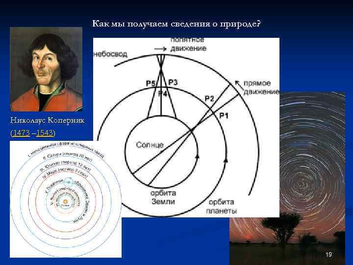 Как мы получаем сведения о природе? Николаус Коперник (1473 – 1543) 19 