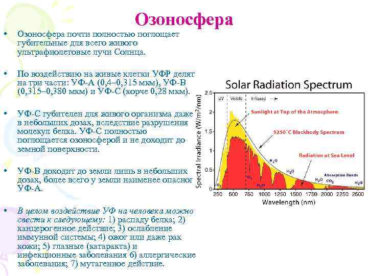 Озоносфера • Озоносфера почти полностью поглощает губительные для всего живого ультрафиолетовые лучи Солнца. •