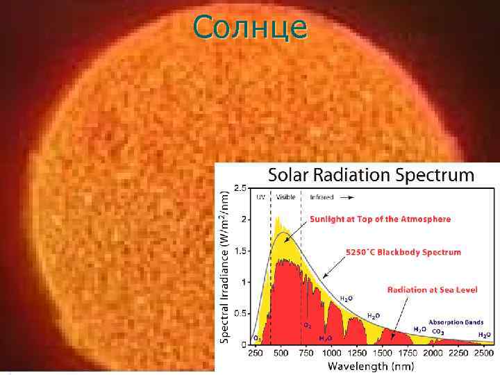 Солнце 