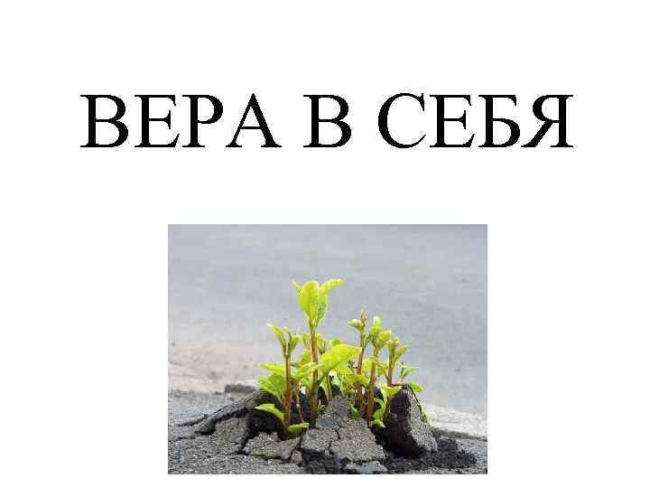 ВЕРА В СЕБЯ 