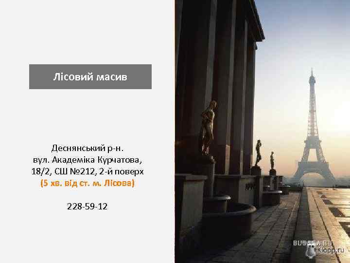 Лісовий масив Деснянський р-н. вул. Академіка Курчатова, 18/2, CШ № 212, 2 -й поверх