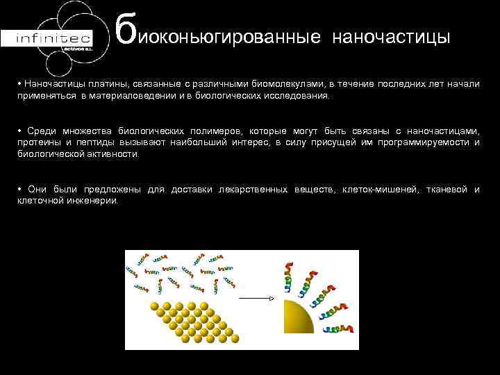биоконьюгированные наночастицы • Наночастицы платины, связанные с различными биомолекулами, в течение последних лет начали