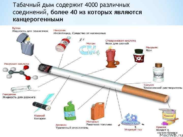 Табачный дым содержит 4000 различных соединений, более 40 из которых являются канцерогенными 