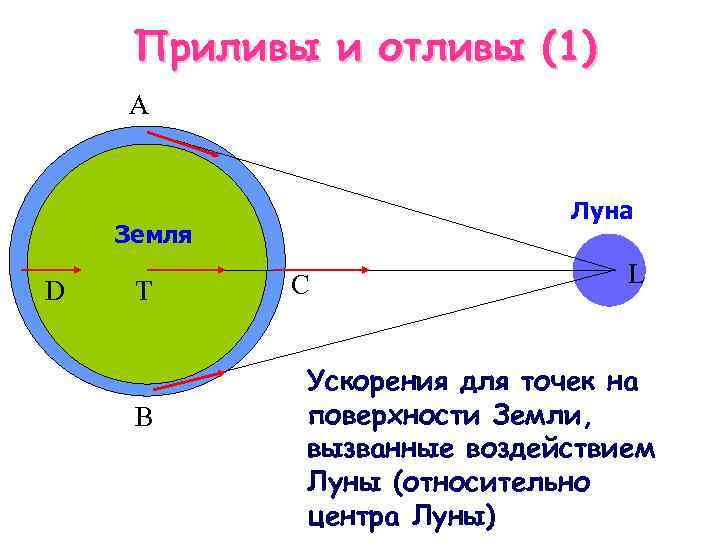 Приливы и отливы (1) A Луна Земля D T B C L Ускорения для