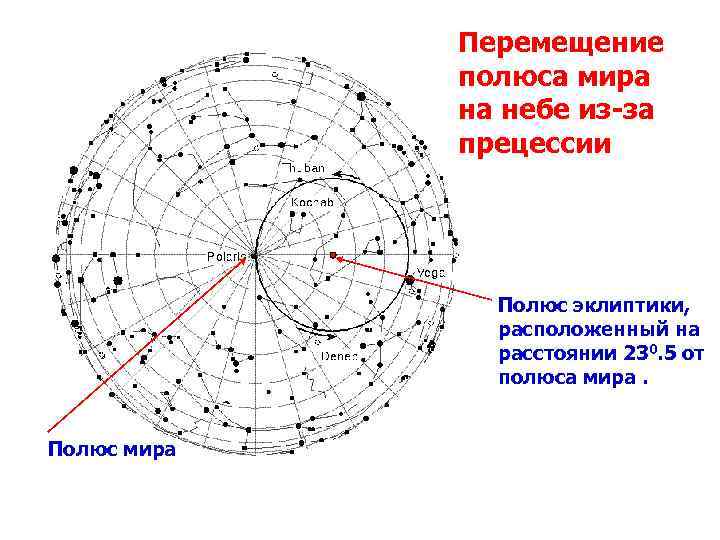 Перемещение полюса мира на небе из-за прецессии Полюс эклиптики, расположенный на расстоянии 230. 5