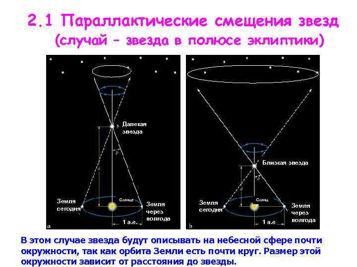 2. 1 Параллактические смещения звезд (случай – звезда в полюсе эклиптики) Далекая звезда Близкая