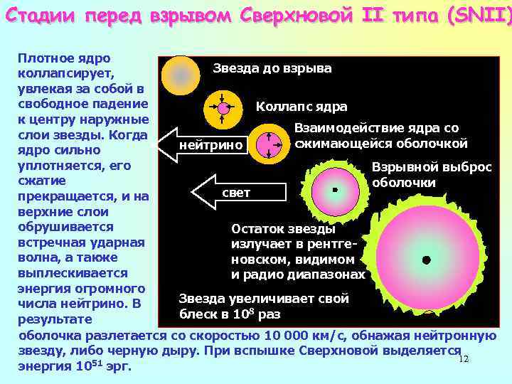 Стадии перед взрывом Сверхновой II типа (SNII) Плотное ядро Звезда до взрыва коллапсирует, увлекая