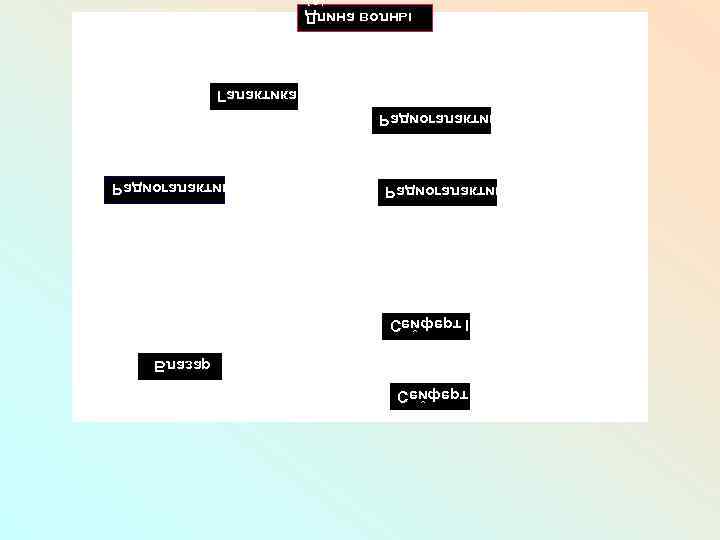 I трефйе. С разал. Б I I трефйе. С акиткалагоида. Р акиткала. Г ынлов