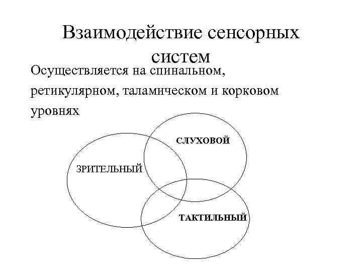 Взаимодействие сенсорных систем Осуществляется на спинальном, ретикулярном, таламическом и корковом уровнях СЛУХОВОЙ ЗРИТЕЛЬНЫЙ ТАКТИЛЬНЫЙ