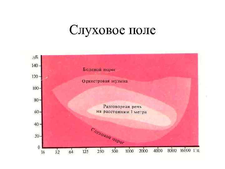 Слуховое поле 