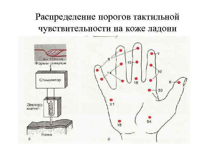 Схема порогов чувствительности