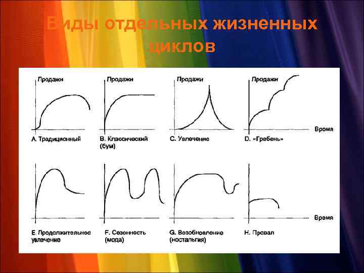 Виды отдельных жизненных циклов 