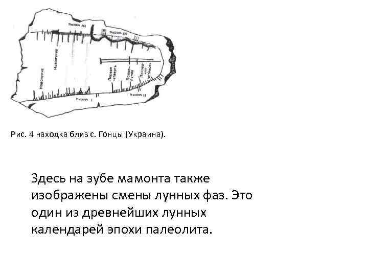 Рис. 4 находка близ с. Гонцы (Украина). Здесь на зубе мамонта также изображены смены
