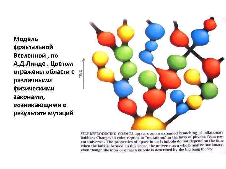 Модель фрактальной Вселенной , по А. Д. Линде. Цветом отражены области с различными физическими