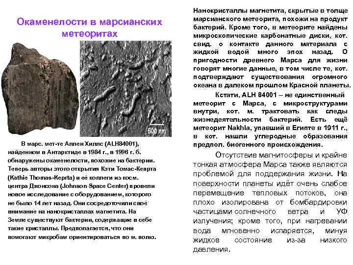 Окаменелости в марсианских метеоритах В марс. мет-те Аллен Хиллс (ALH 84001), найденном в Антарктиде