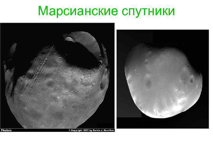 Марсианские спутники 