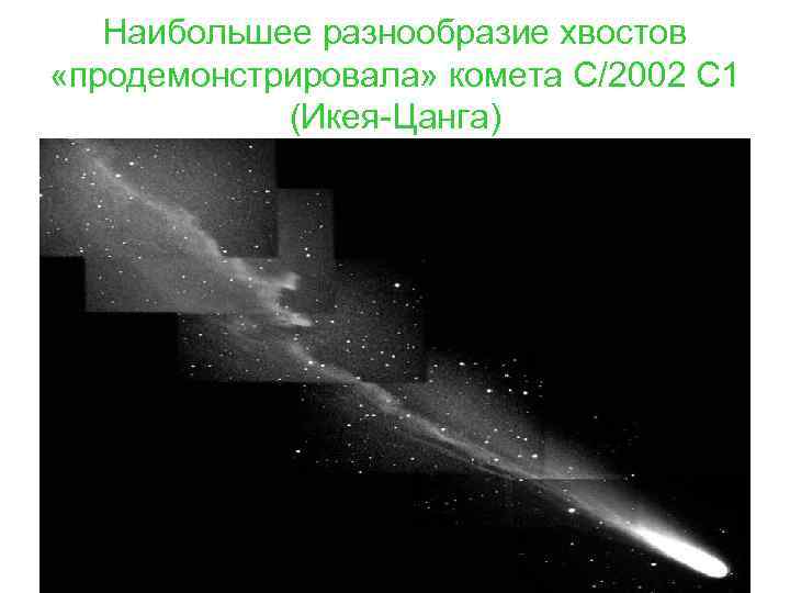 Наибольшее разнообразие хвостов «продемонстрировала» комета C/2002 C 1 (Икея-Цанга) 