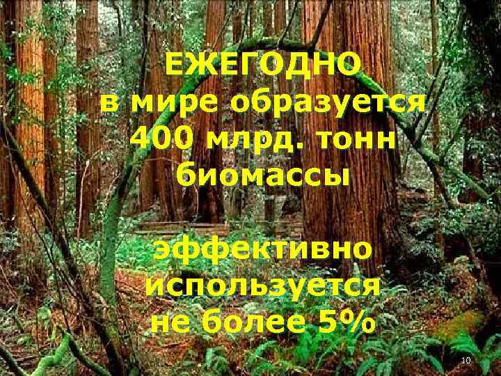 ЕЖЕГОДНО в мире образуется 400 млрд. тонн биомассы эффективно используется не более 5% 10