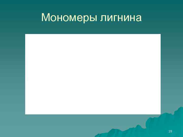 Мономеры лигнина 19 